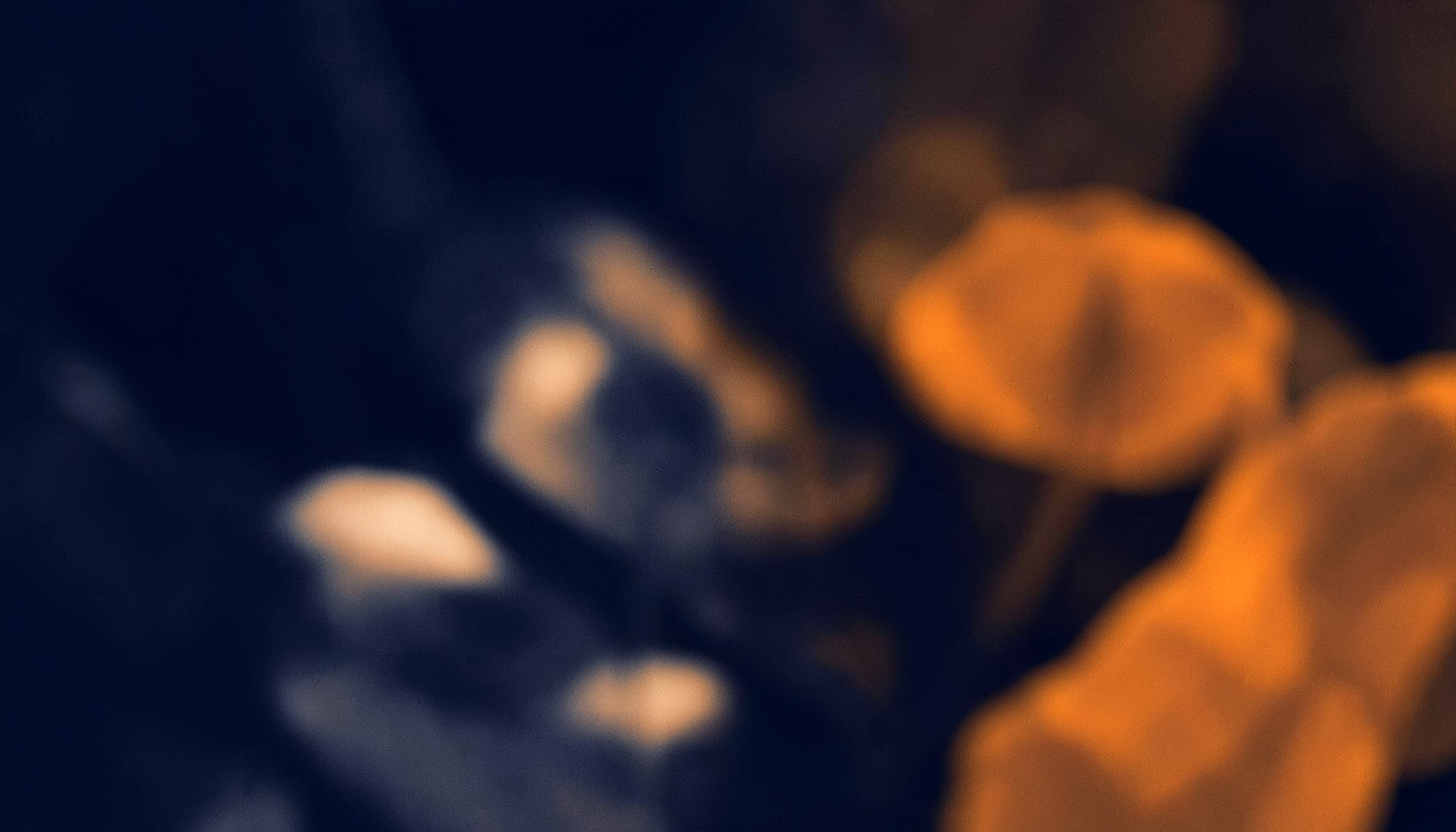 Duotone photograph in navy and amber, soft blurred organic forms creating a restful, health-focused atmosphere.